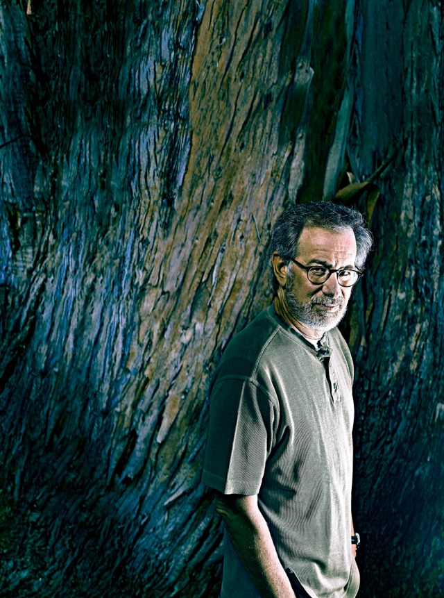 spielberg_tree_final
