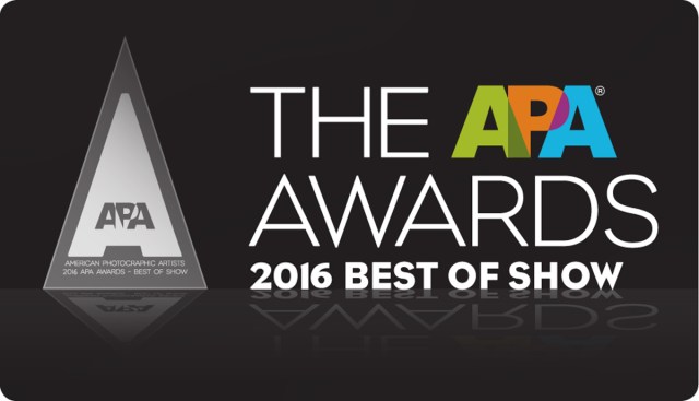 2016-apa_award_best_of_show-689x1200
